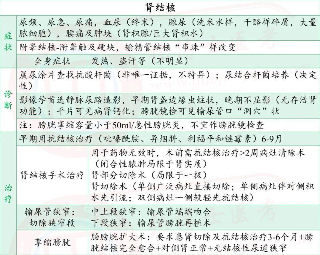 臨床泌尿系統腎結核