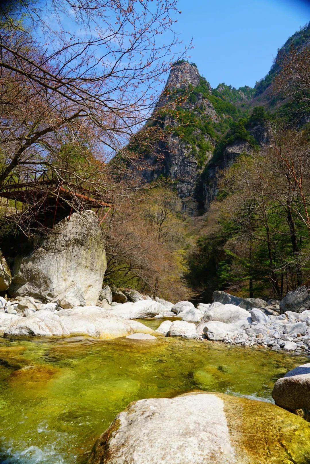 今日,春日里的青峰峡_景区_游客_旅游