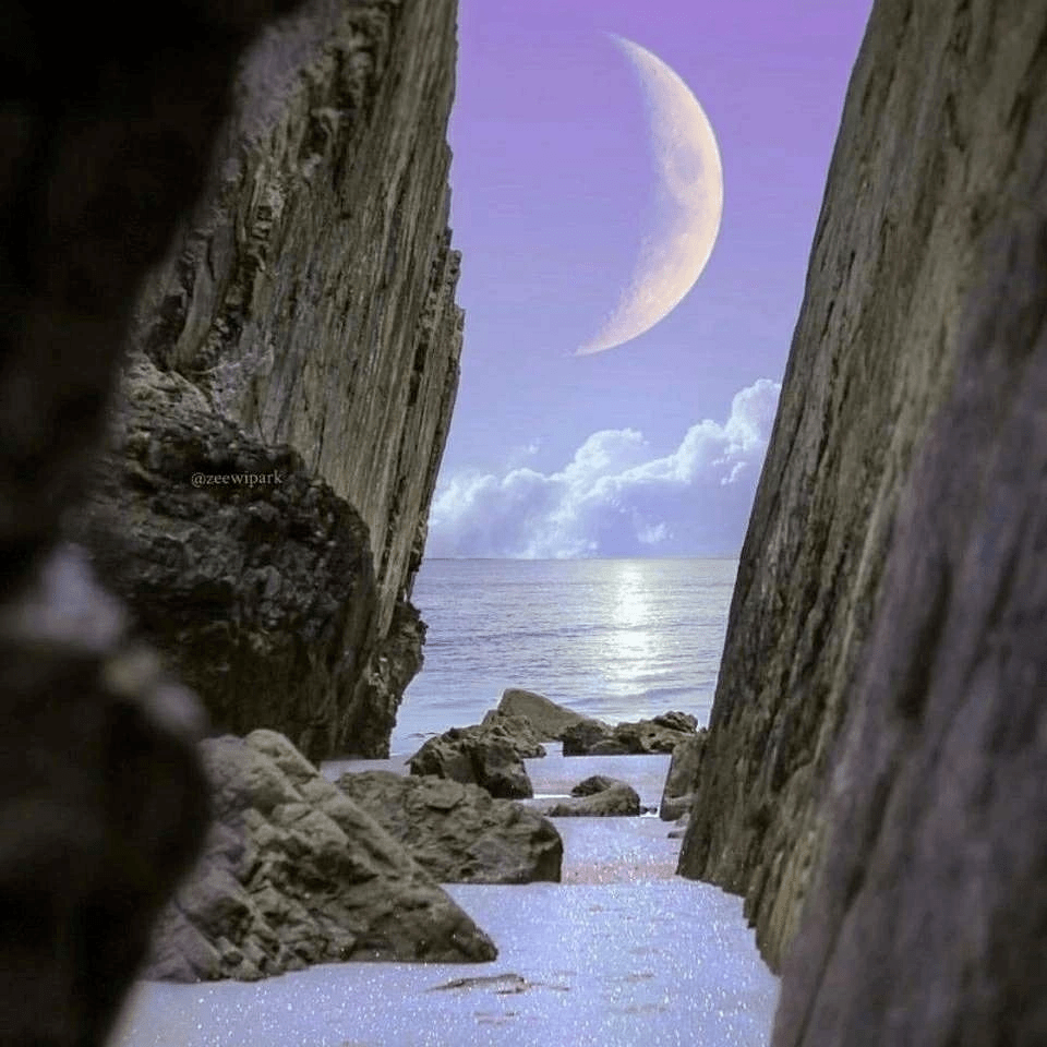 小众却很惊艳的文案心存感恩所遇即温柔