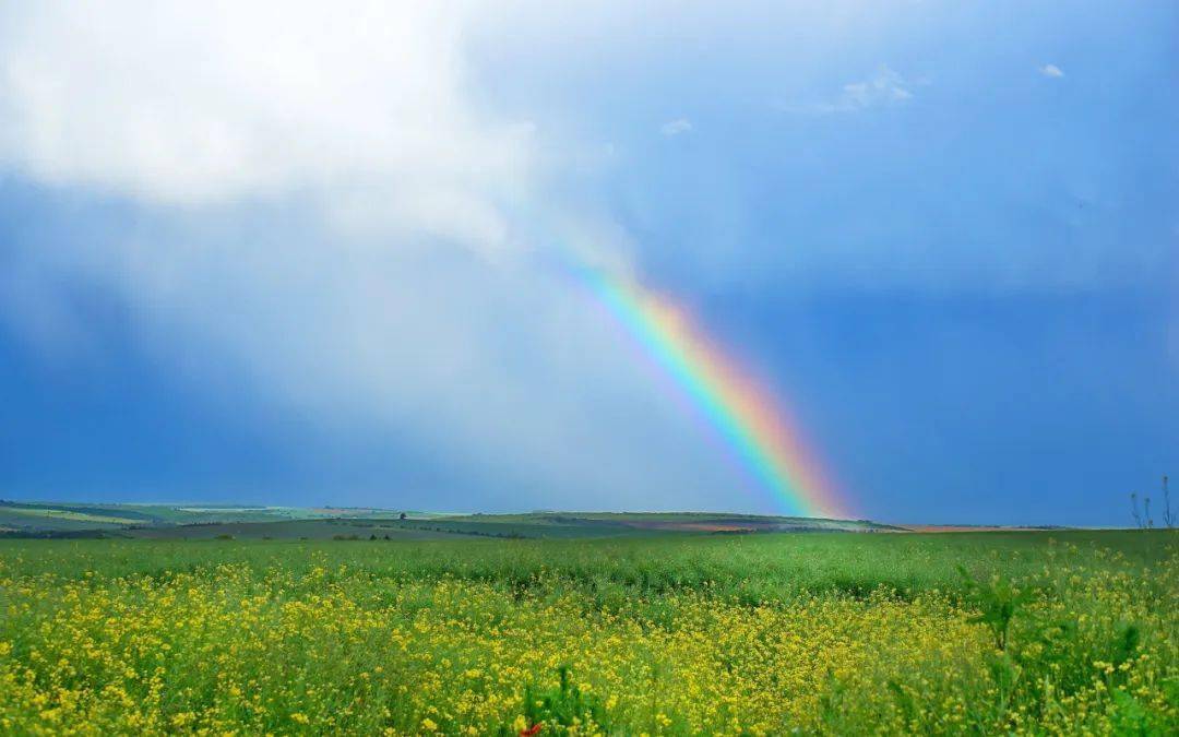 廿四节气清明惟愿春和景明人间天上共安康