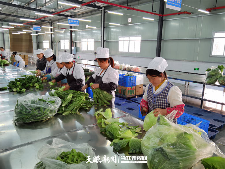 桐梓县绿色食品飞出大山