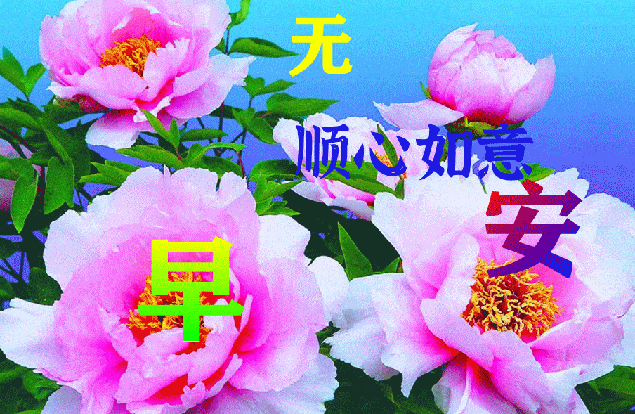 2022早上好表情包吉祥如意四季平安