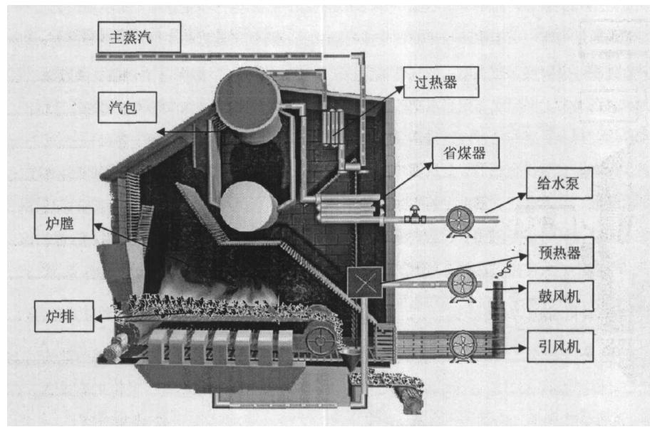 怀孕八十天男女胎儿生殖器(怀孕八十天胎儿生殖发育有多大)-第2张图片-鲸幼网