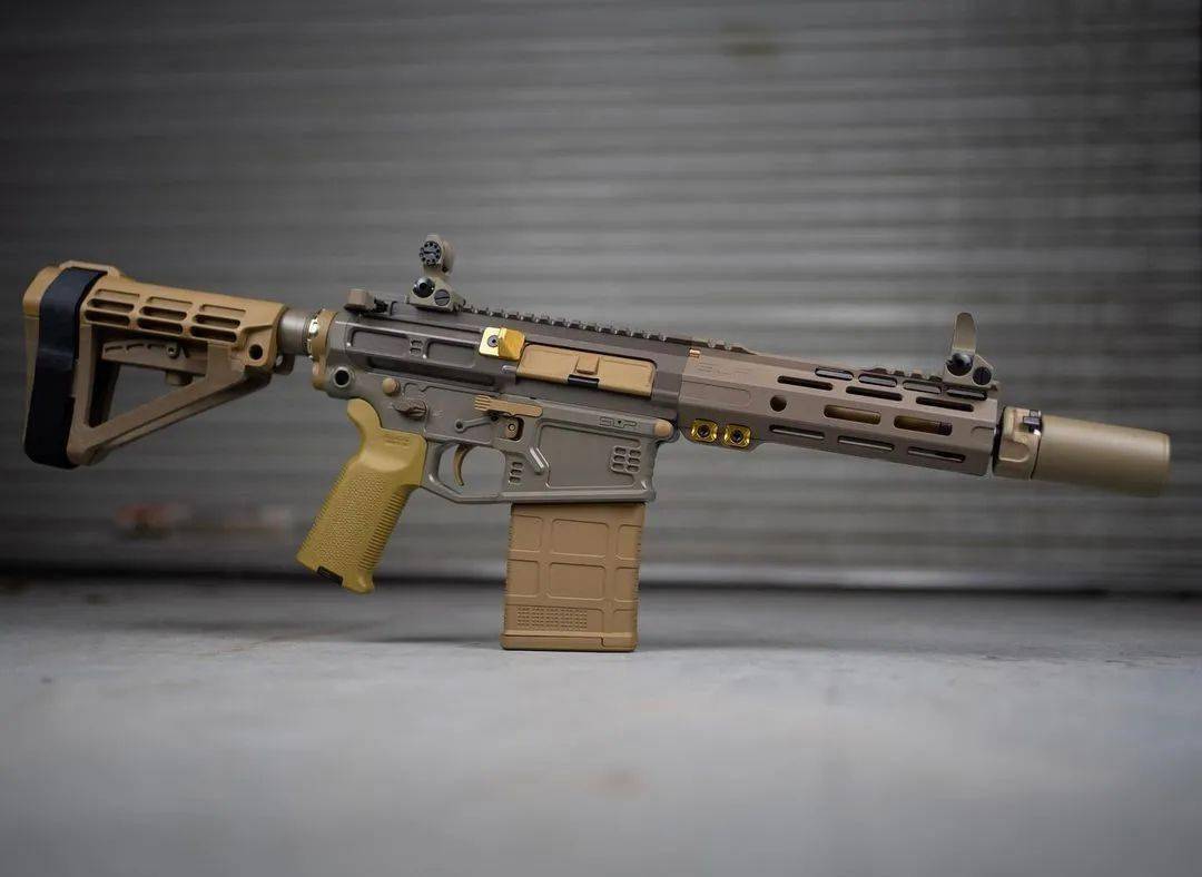 满屏的骚气加装了slr家配件的枪械美图欣赏