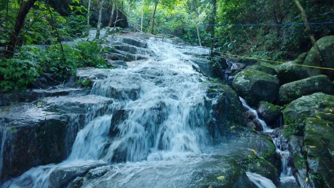 返璞归真回归自然春天我们去踏青