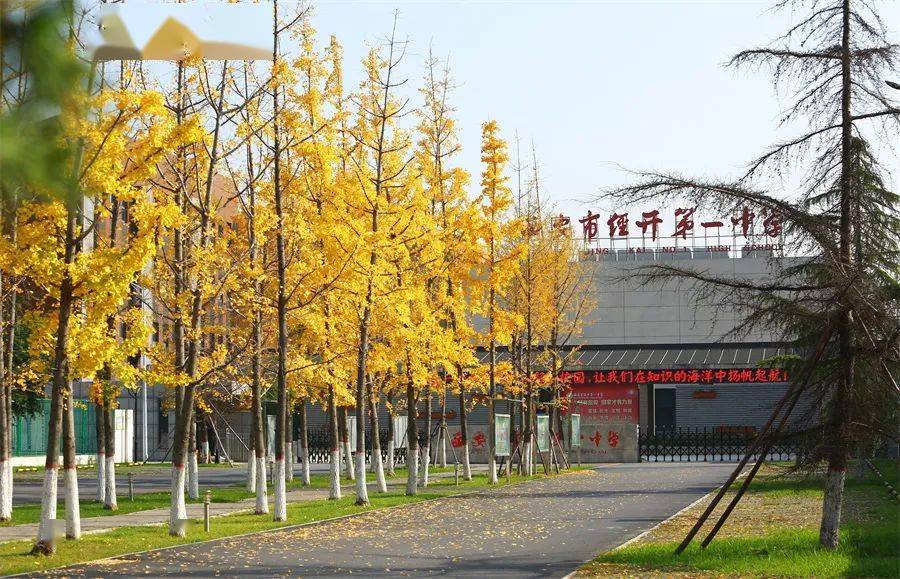 公办完全中学经开一中2022年招聘各学科教师4月最新