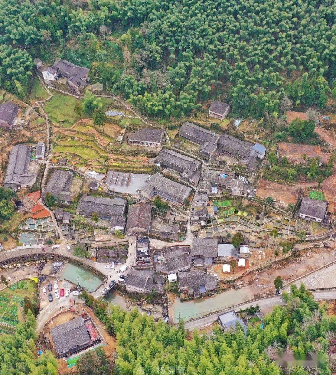 收藏丨泽雅镇获省级革命老区乡镇36个村被认定为市级革命老区村