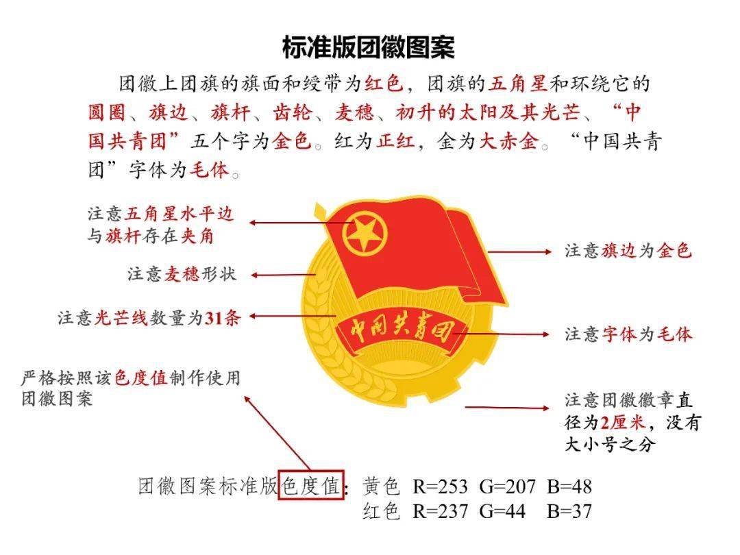 团团打假不得违规使用团旗团徽团歌