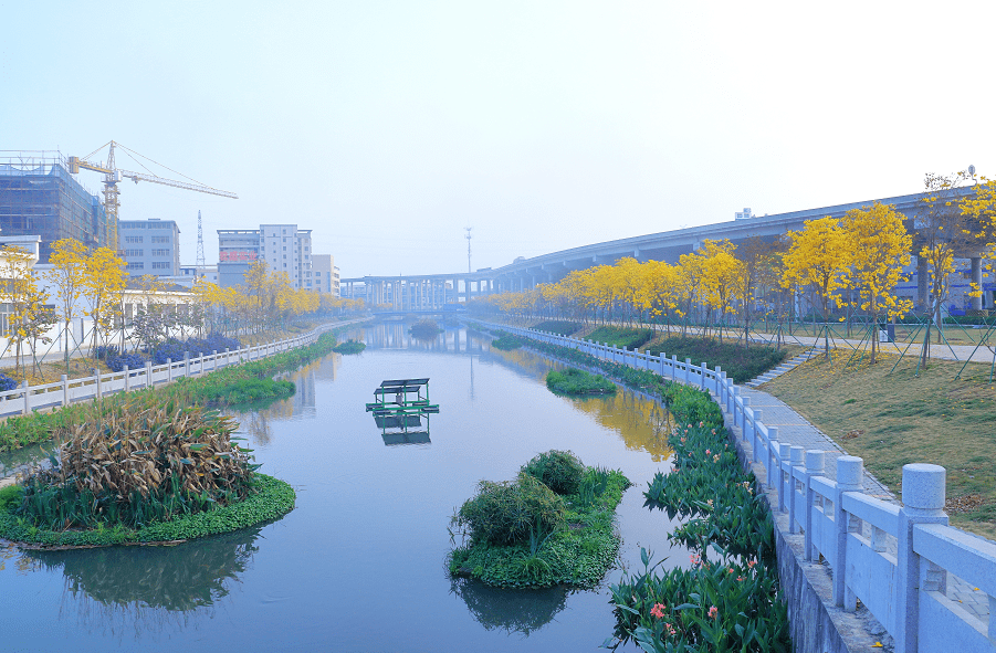 江海區建成42公里,形成西江碧道,城央綠廊碧道,下沙公園,潮頭中央公園