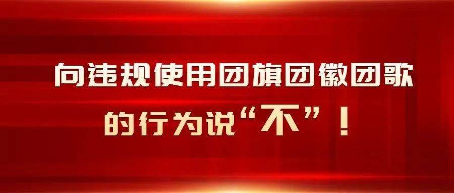 团团"打假:不得违规使用团旗团徽团歌!_组织_图案_仪式