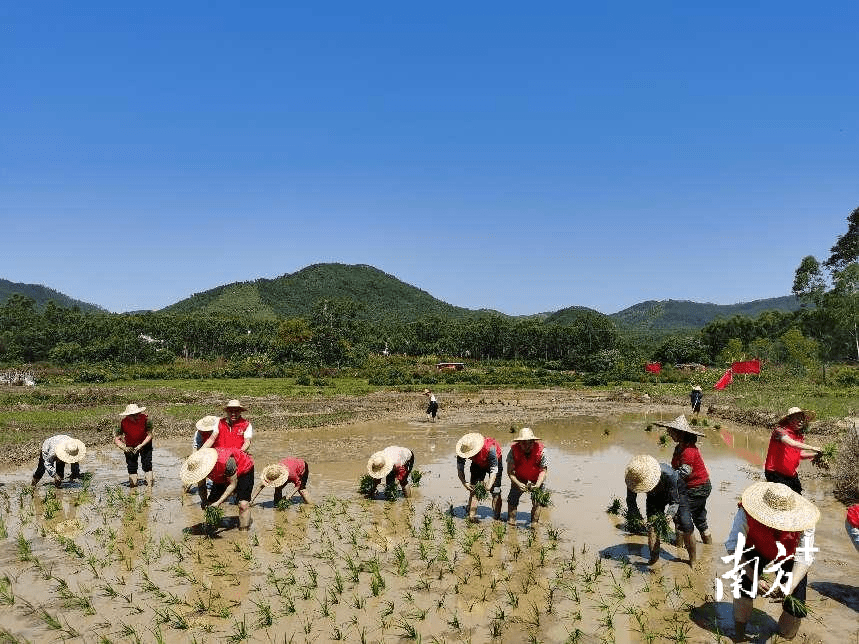 陆河县新田镇新村村开展党员带头助春耕主题党日活动