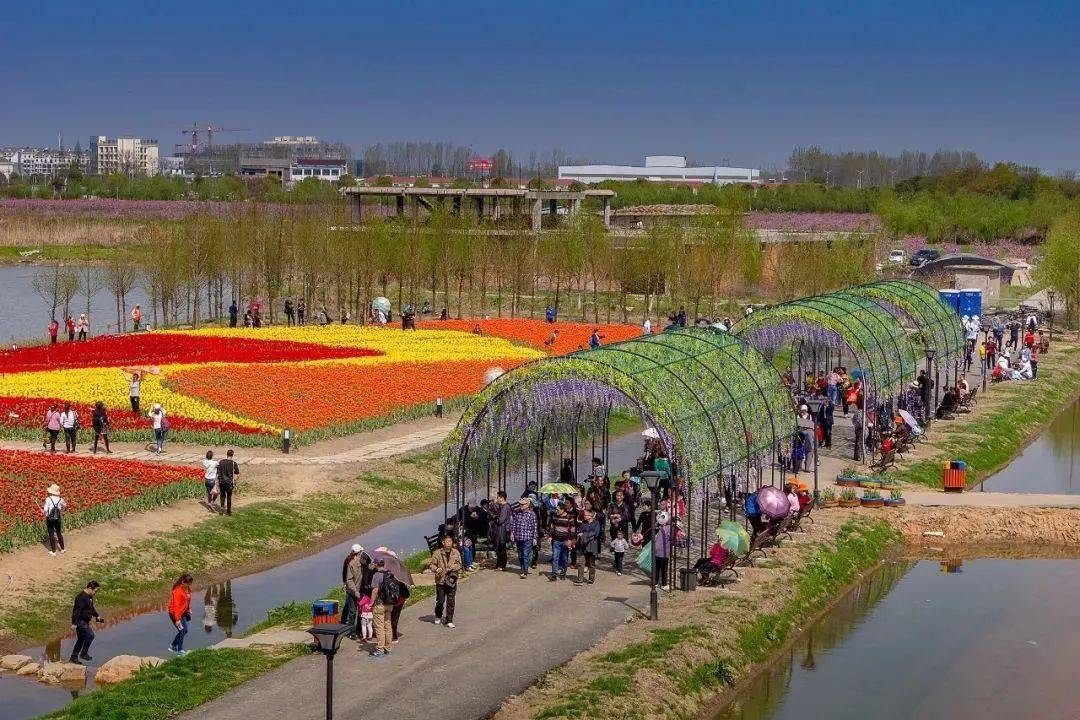 芜湖六郎湿地花海图片