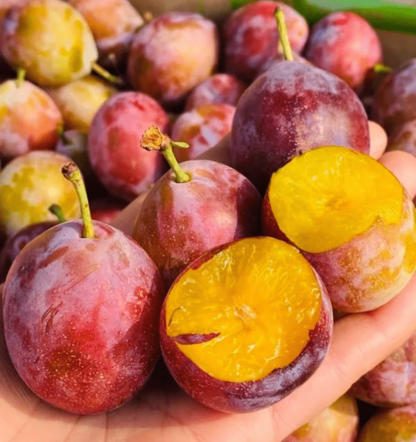 74 这 6 款水果一定要抓紧吃!