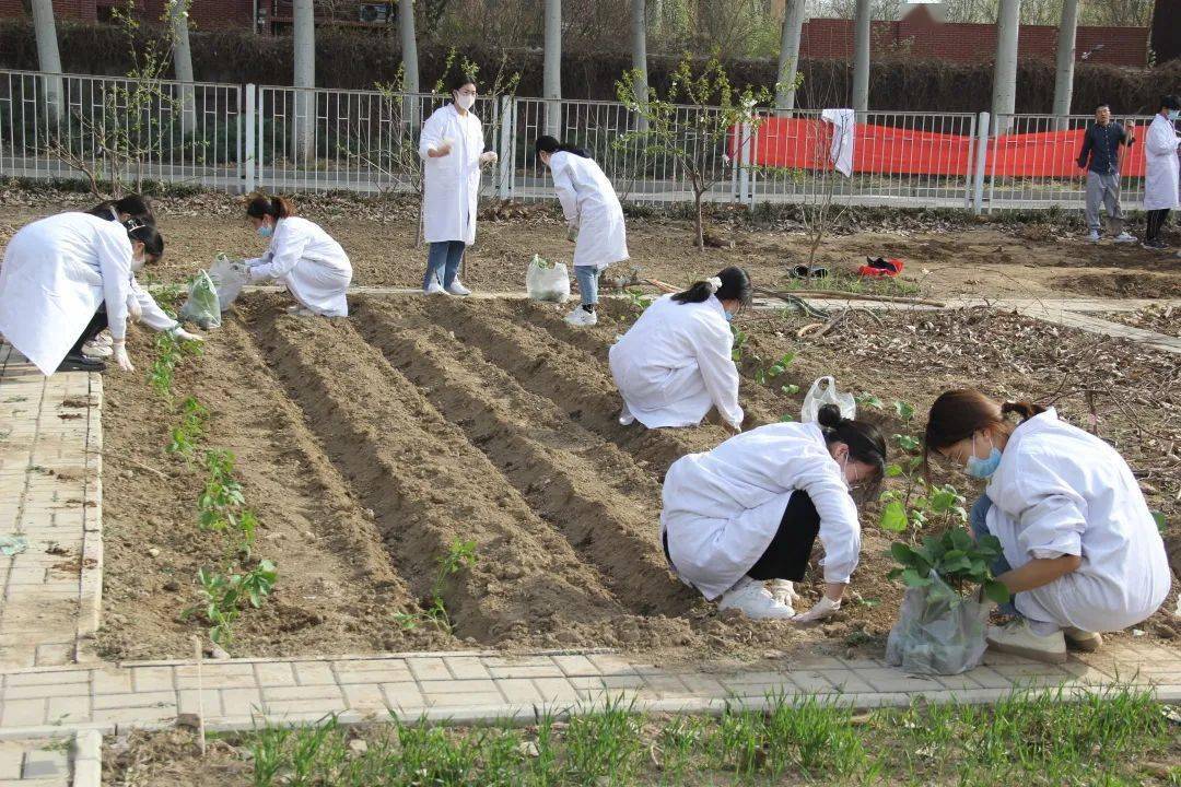 植物保护学院开展追思楷模庚续奋斗主题团日活动