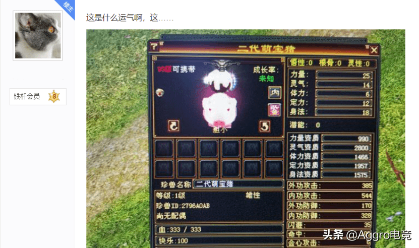 天龙八部3体力宝宝排行_新天龙八部怀旧服再出欧皇,凌晨爆出极品宝宝,价值超12万元宝