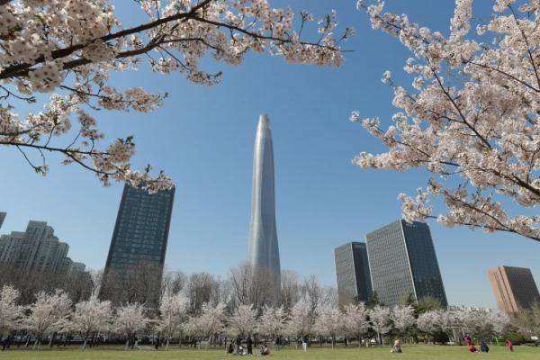天津：这两个公园樱花盛放，自驾“打卡”指南来了