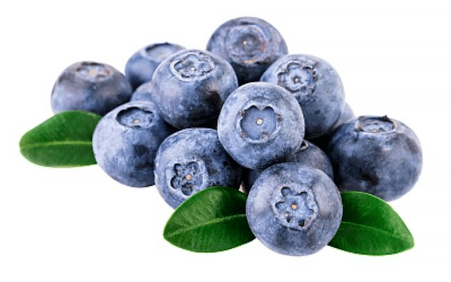 女人吃蓝莓的好处和坏处（蓝莓的营养与功效与作用）