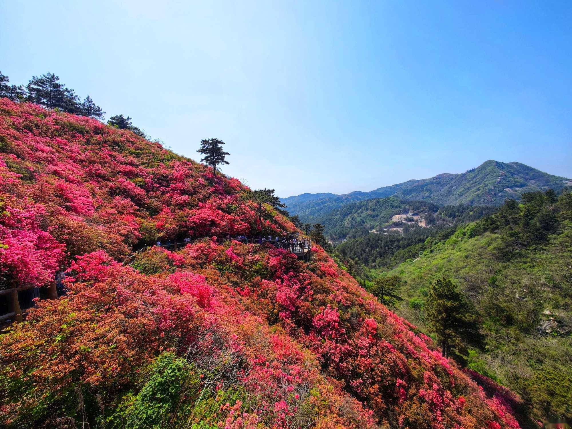 云雾山攻略分享:避开人流高峰,就能收获无限美景_新荣村_景区_终点站