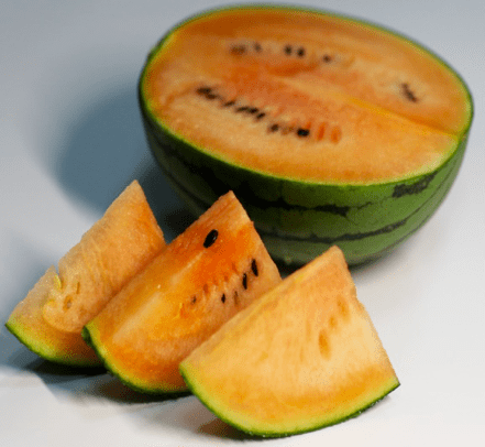 10元一斤亩产值达6万这款彩虹西瓜连续7年市场畅销