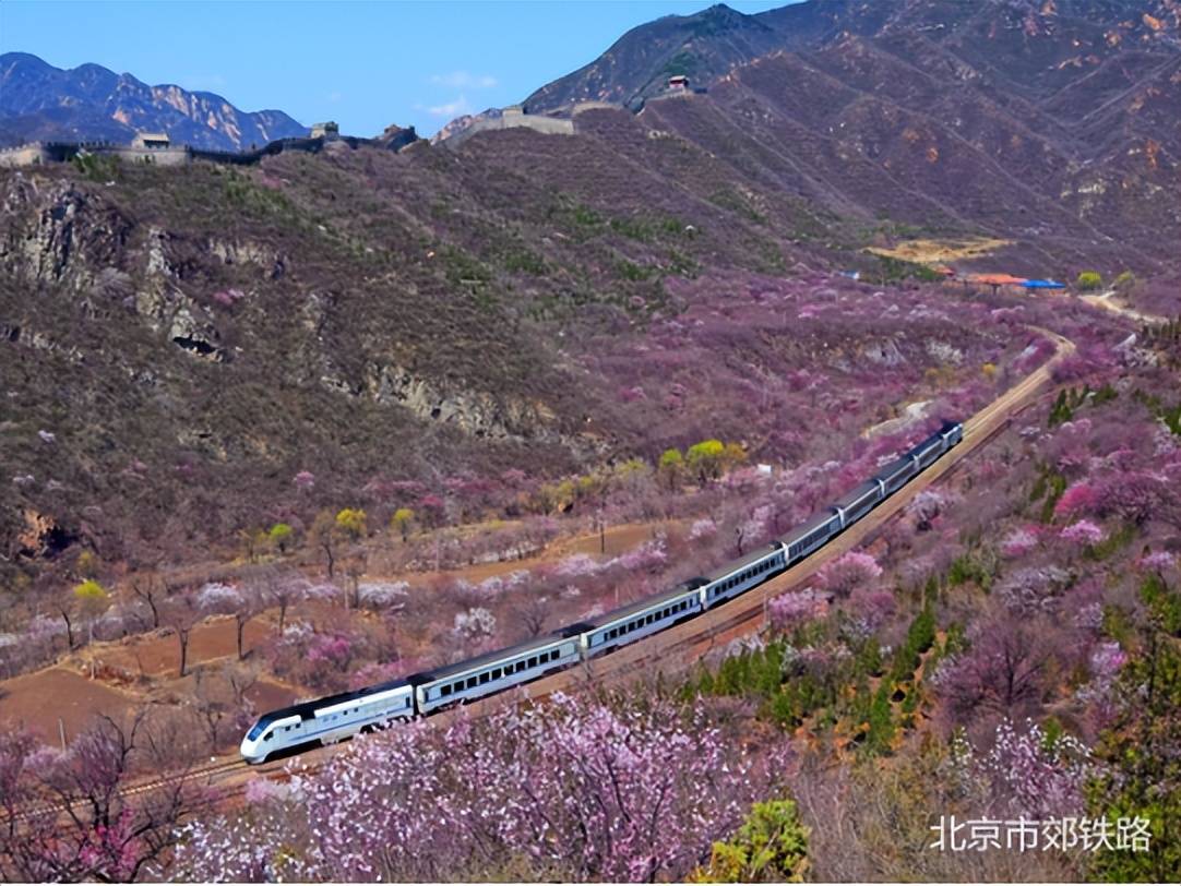 s2线居庸关长城段穿越烂漫花海穿越峥嵘岁月