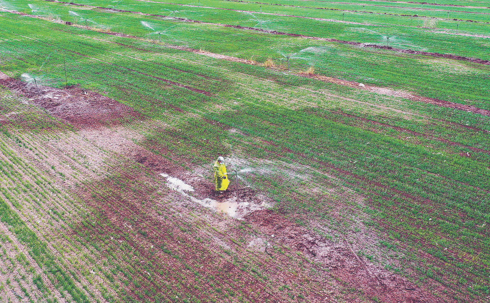 【关注】廊坊：春来田间农事忙