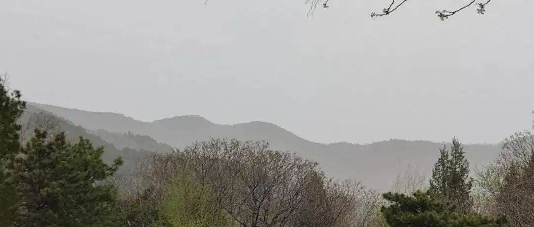 今夜有风有浮尘或扬沙 明天气温回落_气象_地区_指数