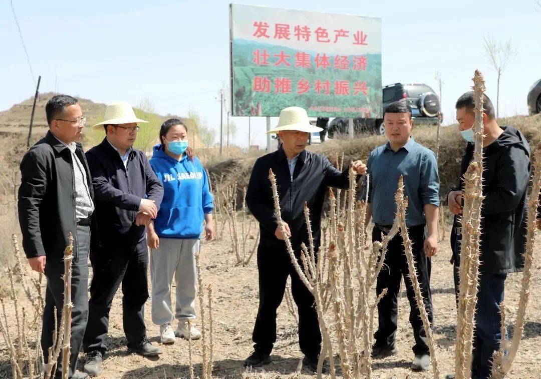 山丹县县委书记公示图片