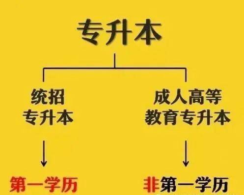 统招大学毕业证图片