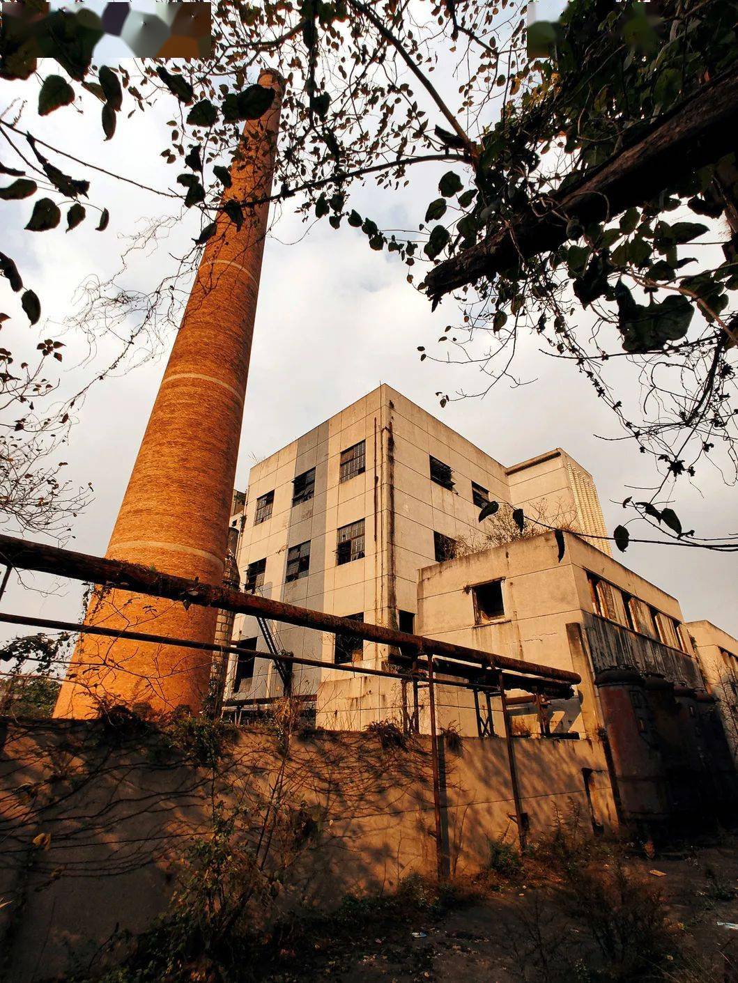 "大概每一个老内江人心中,或多或少都有一份关于老制药厂的记忆.