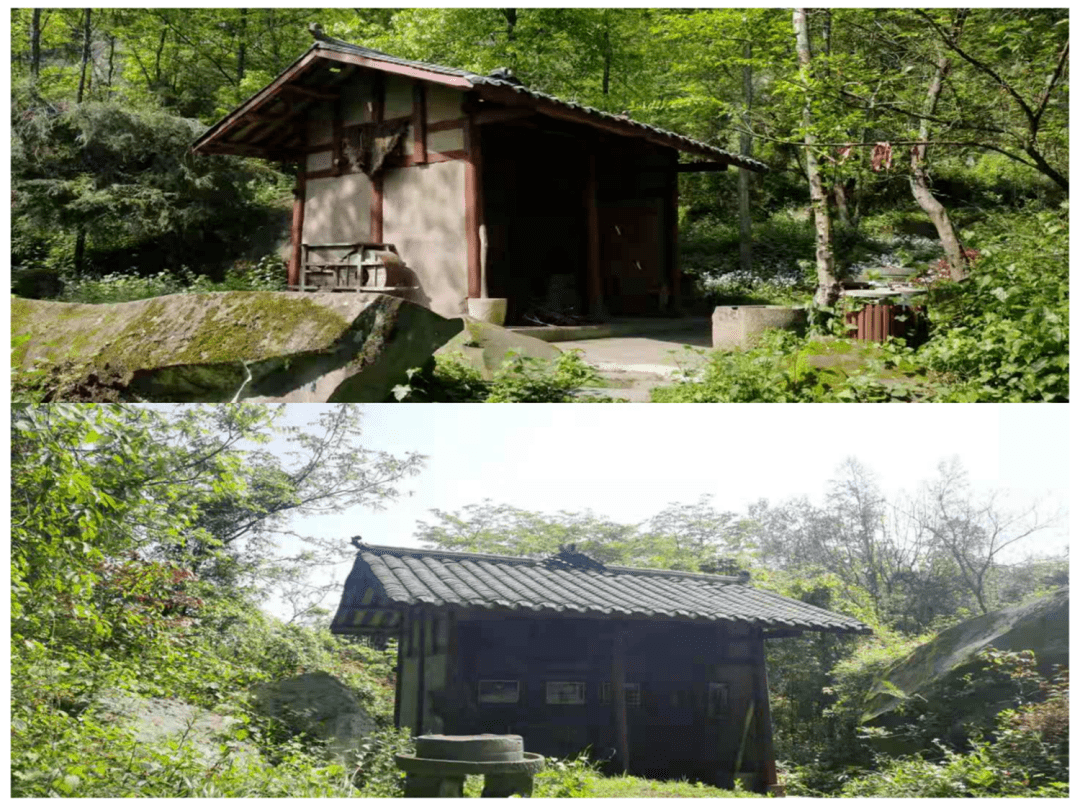 争创天府旅游名县康养之旅走起来一起沉醉通江这个地方