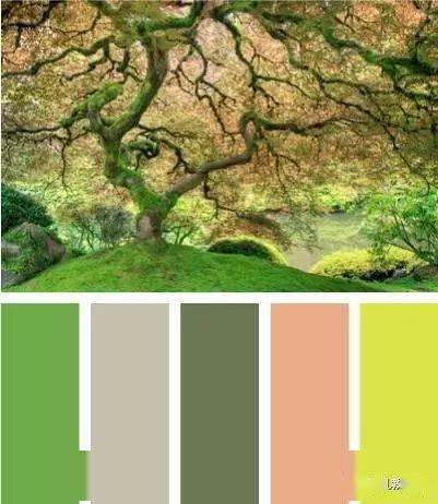 老师会配色环创更精彩实用幼儿园配色方案