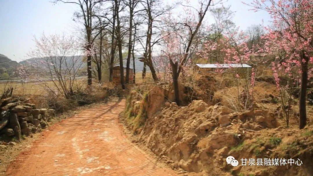 奋进新征程建功新时代甘泉县石门镇王坪村推进村庄巷道硬化持续改善人