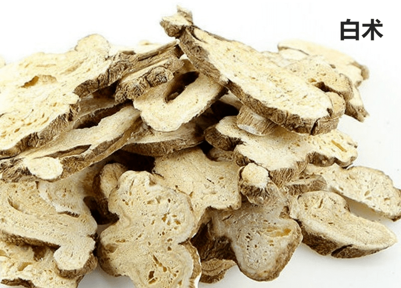 每天学习一味中药白术