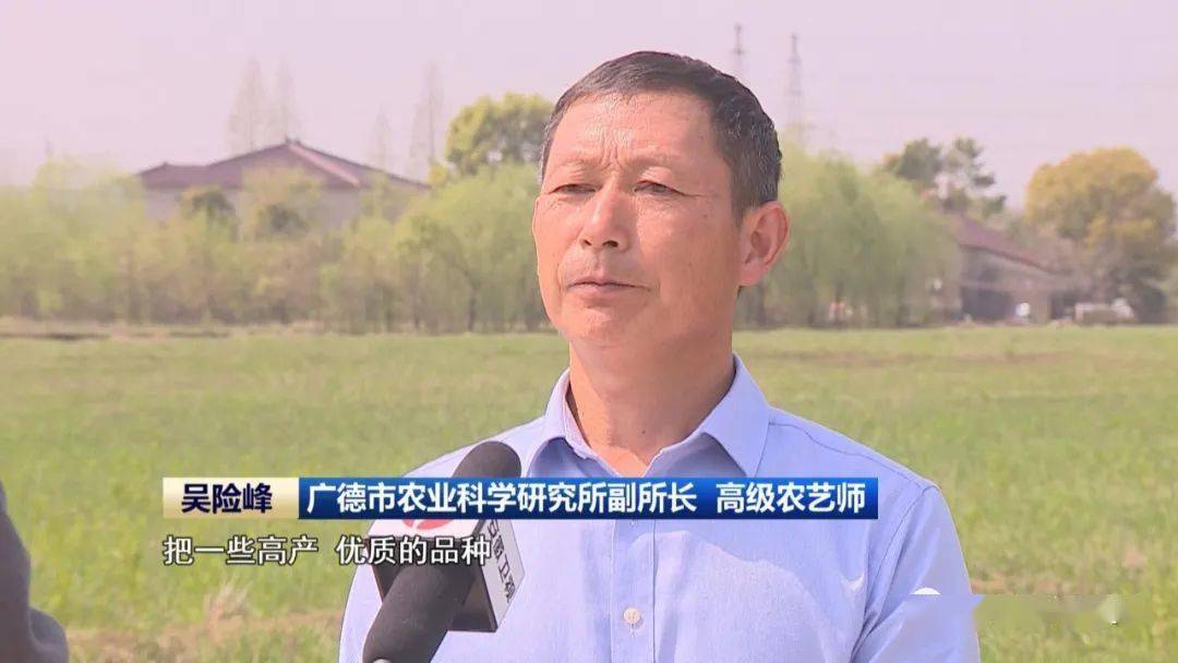 广德市农业科学研究所副所长 高级农艺师 吴险峰:通过我们努力,把一些