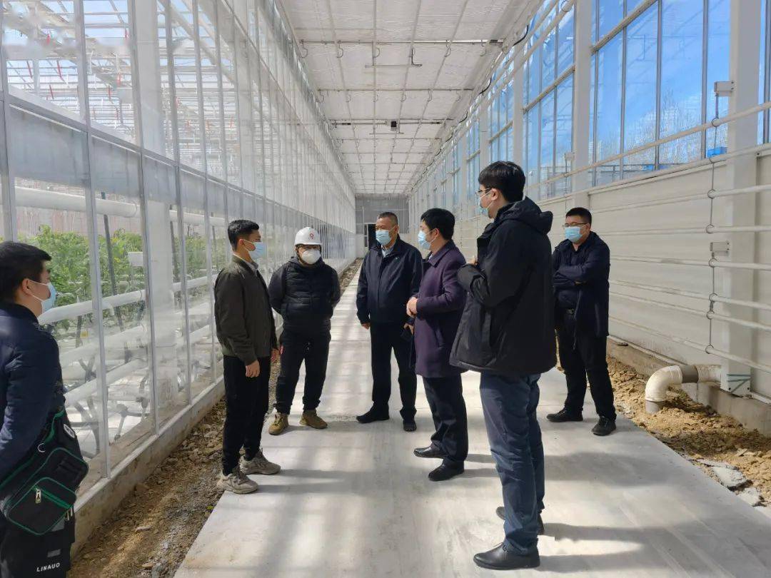在凯盛佳木斯智慧农业基地项目现场,周建军详细听取项目负责人对项目