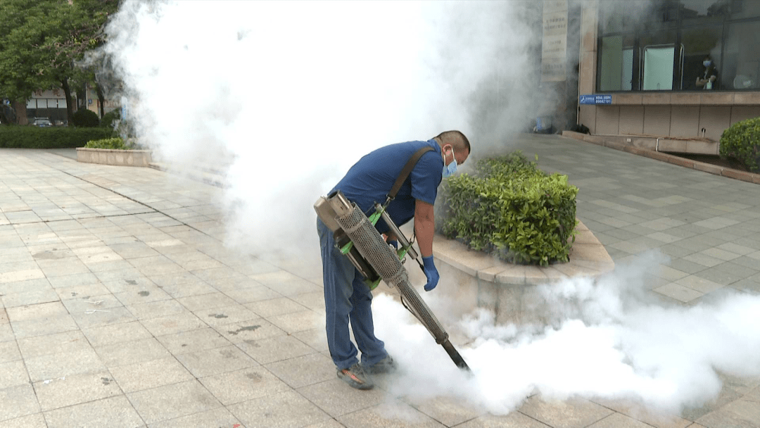 沙田开展春季除四害消杀行动营造卫生健康人居环境