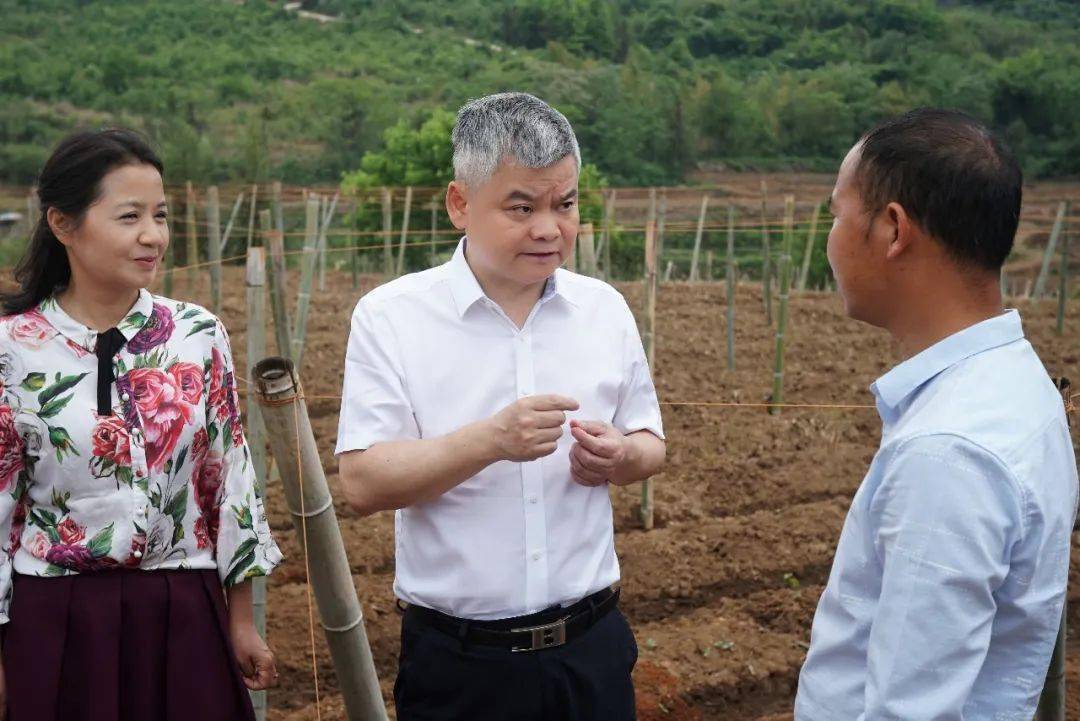 要闻丨陈跃文在嘉禾开展调研监督时强调发挥政协优势作用更好服务三农