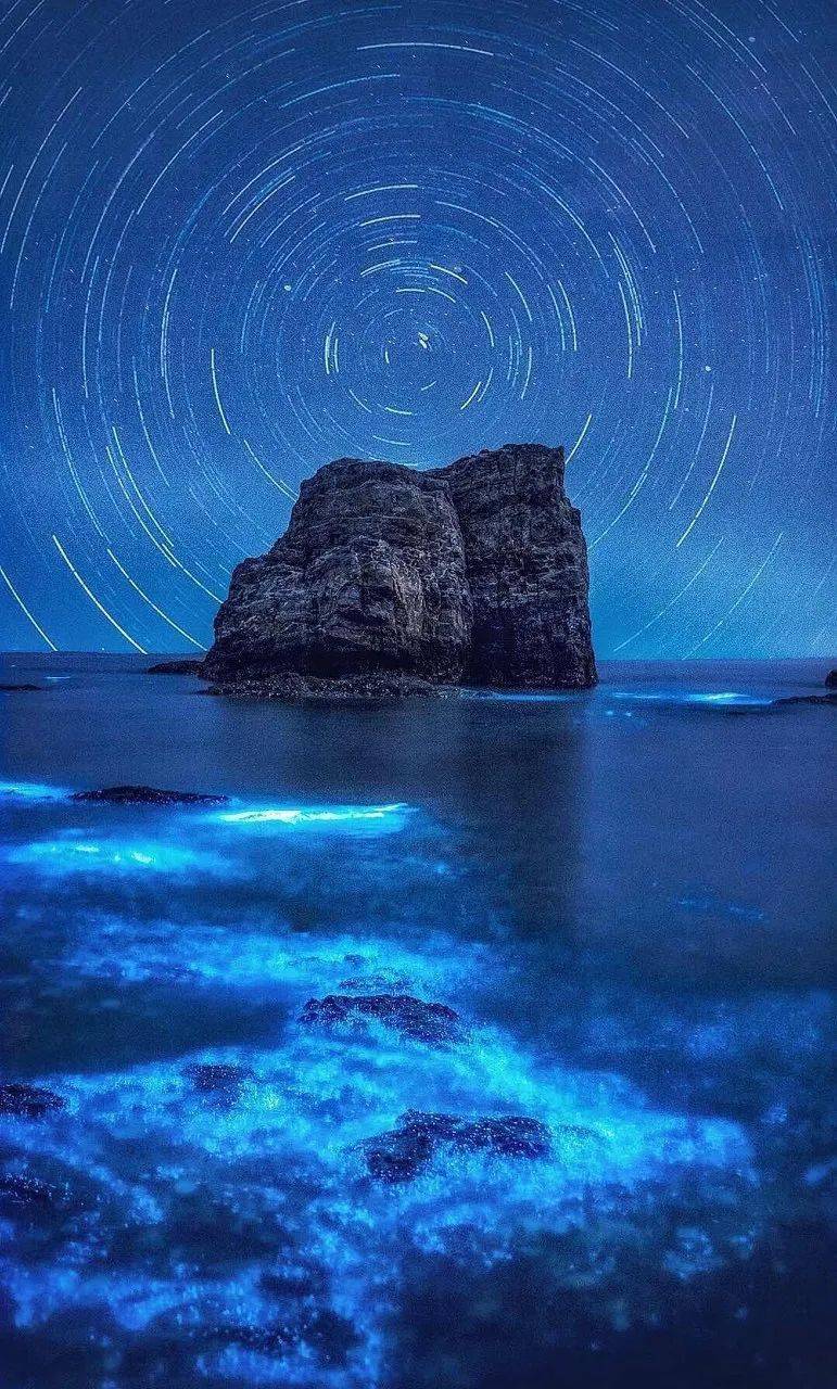 如果大海有眼泪那一定是蓝色