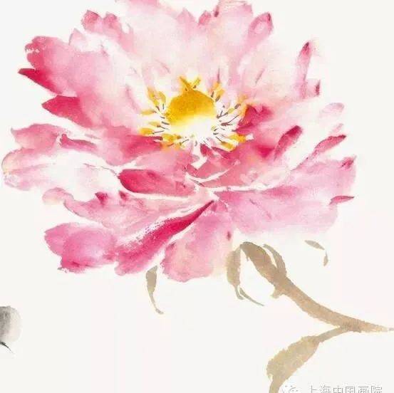国画教程丨国画中花的画法_花瓣_示例_牡丹