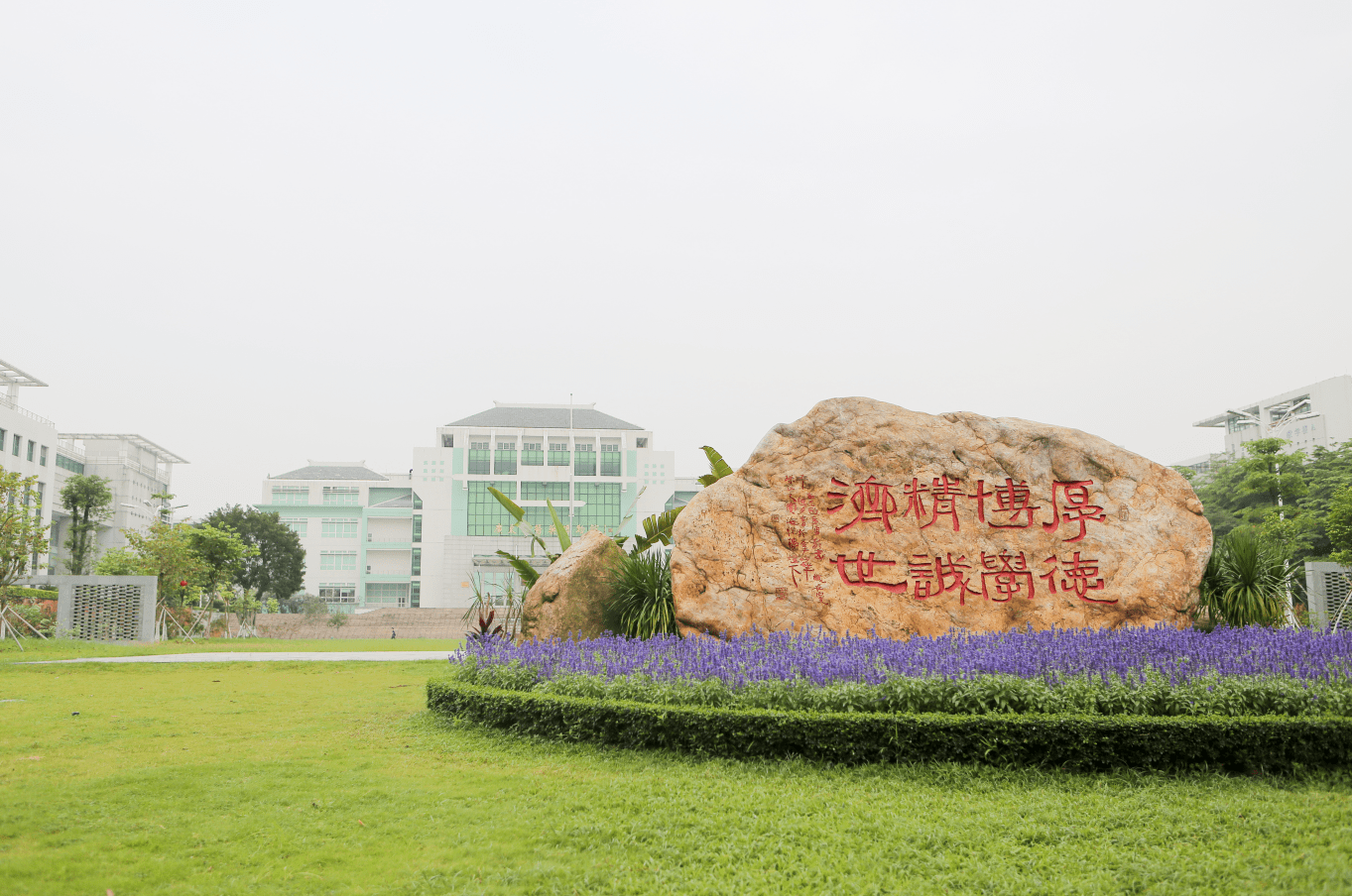 1956年经国务院批准成立广州中医学院,是新中国首批四所高等中医药