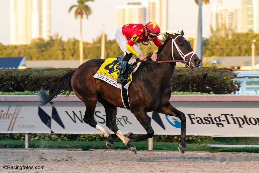 美好人生绿化带领跑世界最佳赛马排名