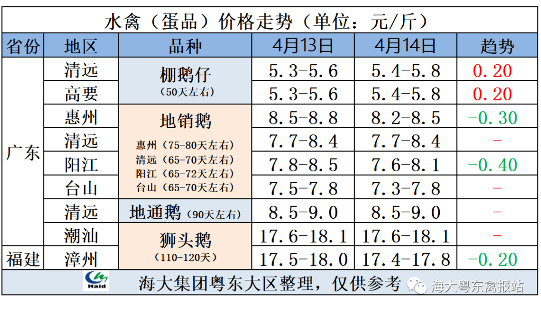 商品鹅蛋价 格黑狮大鹅黑狮鹅苗狮头大鹅狮头鹅苗狮头苗,狮头大鹅价