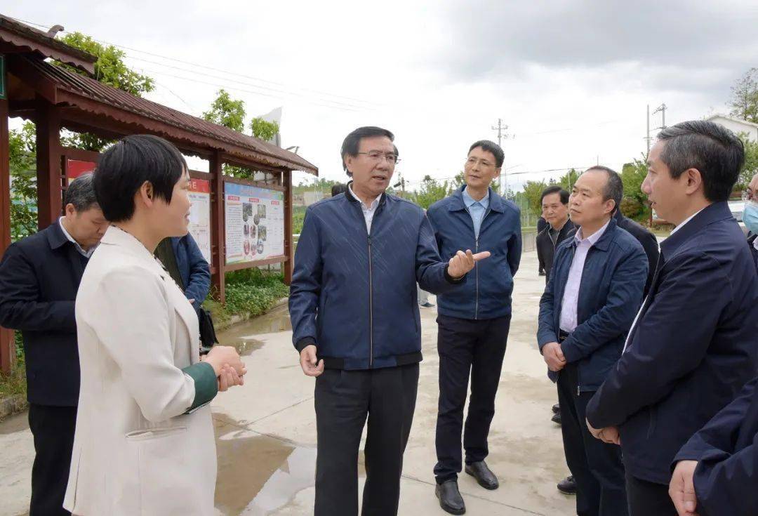 银杏广场,韭黄基地,干堰组猕猴桃果园,息烽县石硐镇大洪村,贵州中康