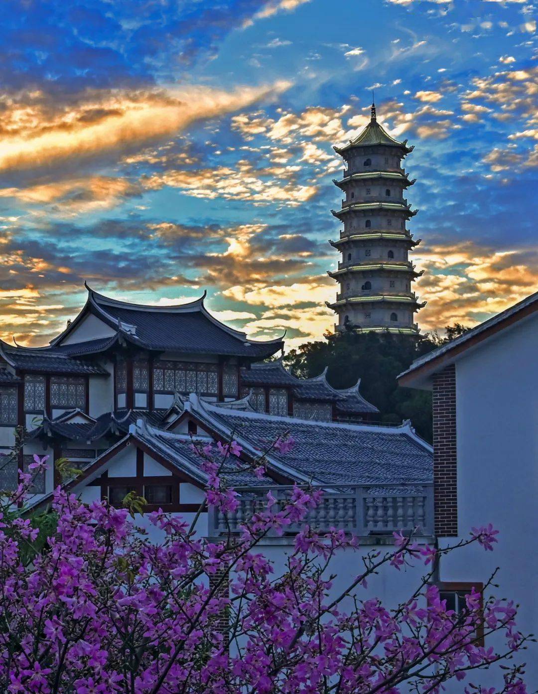 了整个湄洲岛璀璨夺目,风景独好湄屿晚舟(摄影/郭劲瑜)凤凰来仪2014