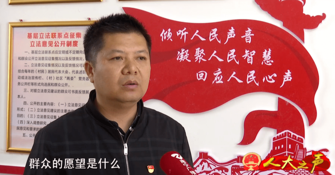 从单打独斗到规模化种植,新兰村韭菜种植产业能实现华丽转身,陈福华功