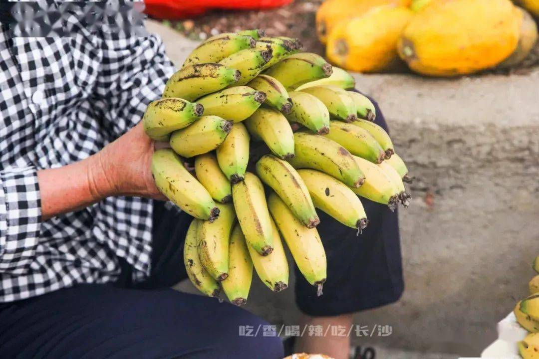 要说果实,涠洲岛特产的香蕉,便不得不提!