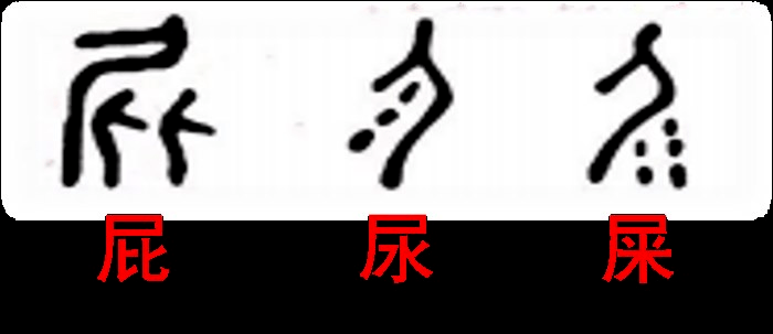 当屎尿屁进入课堂