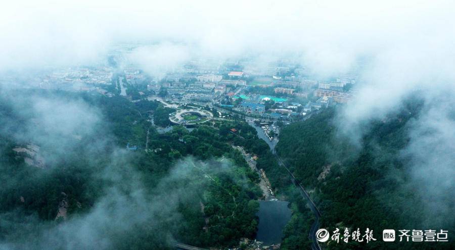 壹图集｜最美人间四月天！泰安爬山赏花、露营野餐正当时