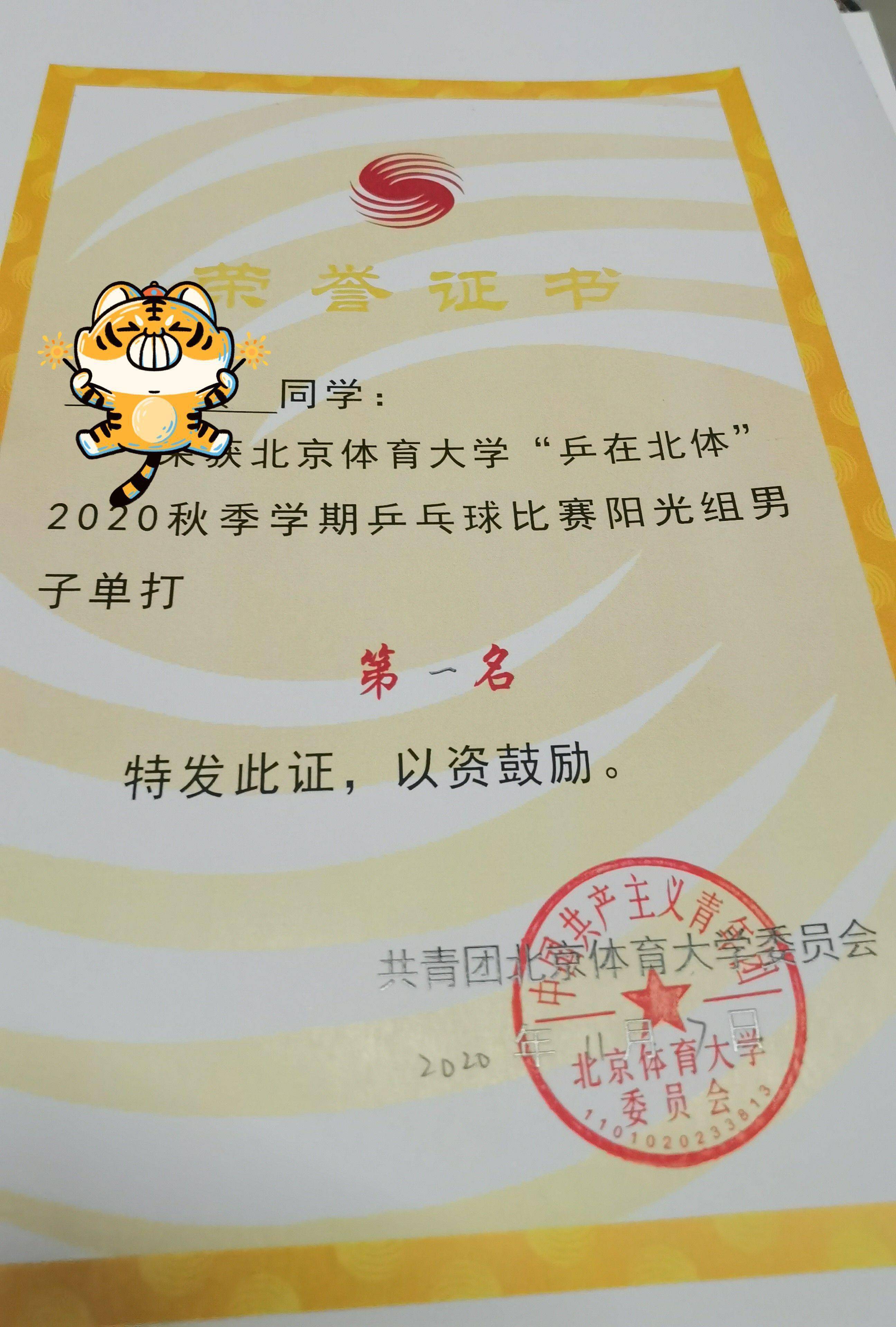 也能用另一种方式,去圆了自己年少时成为职业乒乓球运动员的愿望