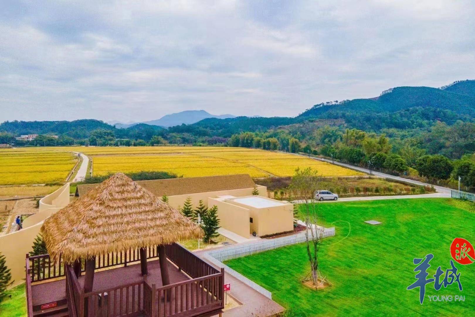镇隆镇十里村"稻田乐园"近年来,信宜市现代农业成果显著.